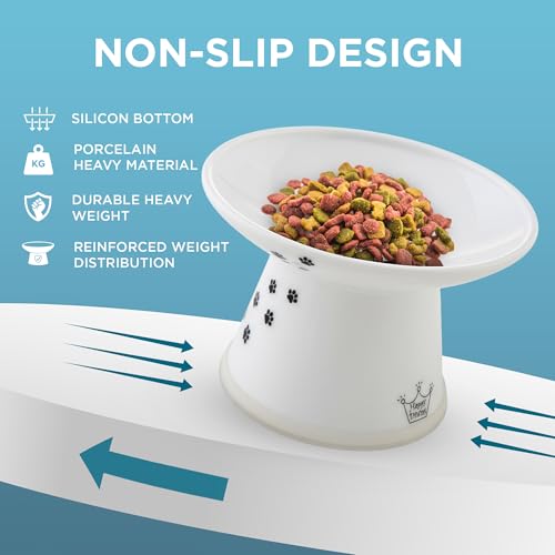 Necoichi Ceramic Extra-Wide Elevated Cat Food Bowl (Cat, Extra Wide) - color: Cat, size: Large Extra Wide