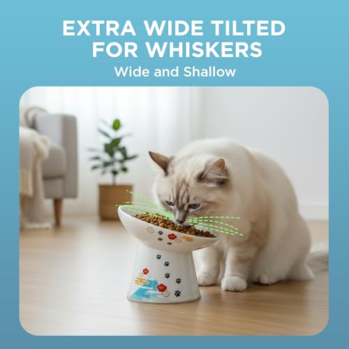 Necoichi Ceramic Raised Cat Food Bowl, 15° Tilted (Fuji, Extra Wide Tilted) - color: Fuji, size: Large Extra Wide Tilted