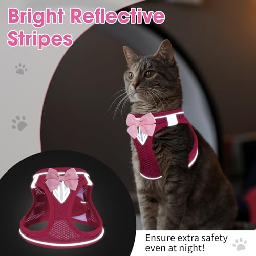 Cat Vest Harness and Leash Set, Escape Proof Kitten Harness Pink XS | Safe Reflective Strips, Adjustable Easy Wear Kitty Harness, Sturdy Clip Buckle, Breathable Mesh , for Kitty Puppy Bunny Walks - color: Pink, size: XS