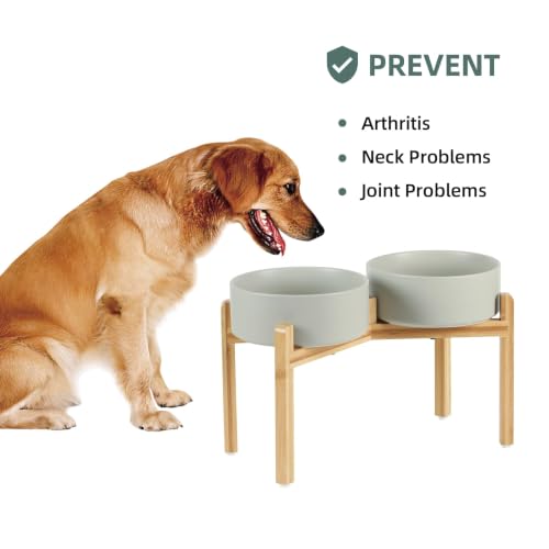 Havniva Dog Bowls Elevated, Ceramic Dog Food and Water Bowl Set | 8.3” Raised Dog Food Bowl, Elevated Dog Bowls with Bamboo Stand, Non-Slip Dog Water Bowl for Large Dog, Large Capacity - color: Matte Gray, size: 8.3" - 2 Bowls+Stand