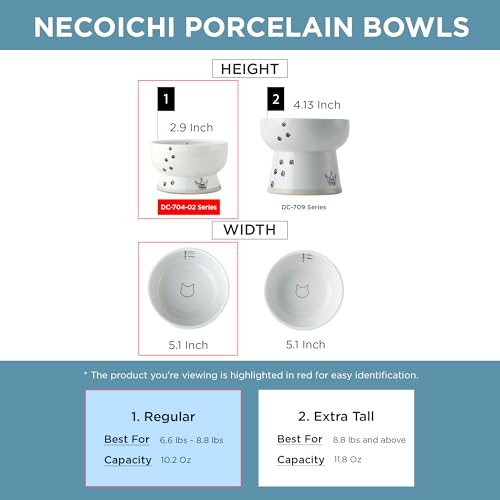 Necoichi Ceramic Elevated Cat Water Bowl, Whisker-Friendly (Cat, Regular) - color: Cat, size: Regular