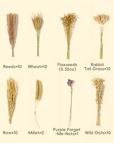 BUCATSTATE Natural Hamster Bedding Flowers & Herbs & Sprays | For Cage Habitat Decor - Treat Cereal Grain for Dwarf Syrian Gerbils, Mice, Rat, Forage, Enrichment (54PCS) - size: 54PCS