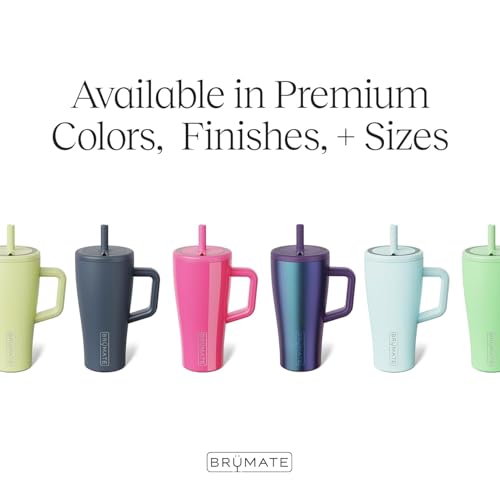 BrüMate Era 20 oz Tumbler with Handle and Straw | 100% Leakproof Insulated Tumbler with Lid and Straw | Made of Stainless Steel | Cup Holder Friendly Base | 20oz (Java) - color: Java, size: 20oz