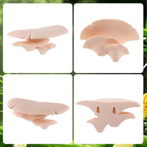 Mushroom Decor Climbing Hold Reptile Tank Pet-Safe Bearded Dragon | Tank Accessories, Climbing Rest Platform Habitat, Concealed Jumping Spider Habitat, Gecko Lizards Leopard, Turtle Hermit Crab