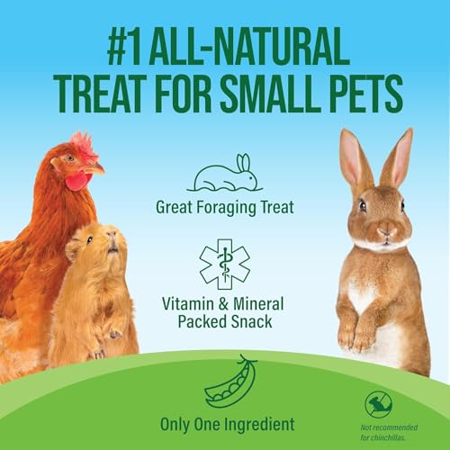 Small Pet Select Pea Flakes Treats, Rabbits & Guinea Pigs, 2 lb, 2-Pack | Natural Wholesome Snack, Two 1 lb Bags, For Bunnies, Hamsters, Chickens, Chinchillas & Small Pets - size: 2 Pound (Pack of 1)