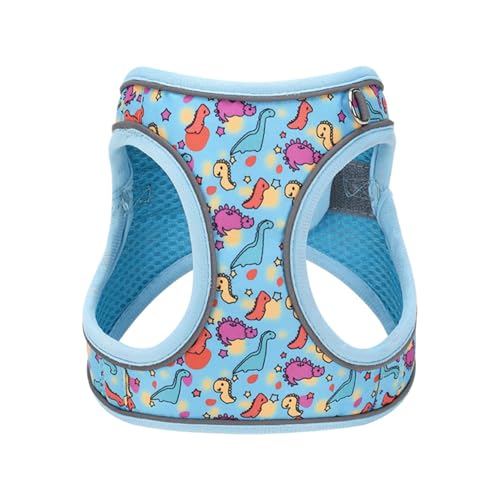 Step in Dog Harness No Pull Dinosaur Adjustable Soft Mesh Harness | Reflective Pet Vest Harness and Leash Set for Small Medium Dogs - color: Blue, size: XS(neck:9.5"-10.5",chest:11.5"-13.5")