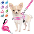 Lukovee Small Dog Harness and Leash Set, No Pull Soft Padded Vest | Both Neck & Chest Adjustable, Reflective, Puppy Harness with 4ft Lightweight Anti-Twist Dog Leash for Small Dogs (Fuschia,XS) - color: Fuchsia - with Stripe, size: XS ( Chest 14'' ~ 18'')
