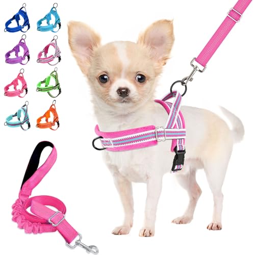 Lukovee Small Dog Harness and Leash Set, No Pull Soft Padded Vest | Both Neck & Chest Adjustable, Reflective, Puppy Harness with 4ft Lightweight Anti-Twist Dog Leash for Small Dogs (Fuschia,XS) - color: Fuchsia - with Stripe, size: XS ( Chest 14'' ~ 18'')