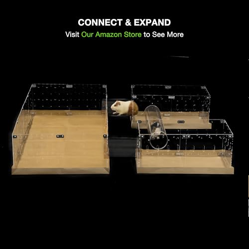 GuineaLoft™ Acrylic Tube Connector Pack - D2 Tube & T4D2 Panels | Includes 1 D2 Acrylic Tube & 2 T4D2 Connector Panels