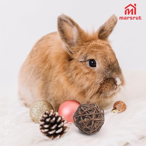 9pcs Willow Balls For Rabbits Bunny, Rattan Chew Toys, 2.1-2.3" Natural Branch Wicker Activity Treat Busy for Chinchillas Guinea Pigs Hamsters Gerbils Parrot Bird Small Animal Rats Bunnies Pet Gerbil