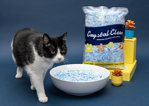 Crystal Clean Premium Fresh Scent Crystal Cat Litter with Odor Control (5X Faster), Best Lightweight, Non Clumping Kitty Litter to Absorb Urine, Dries Solid Waste (2X4.3 Lb Bags) - size: 2X4.3 Lb Bags