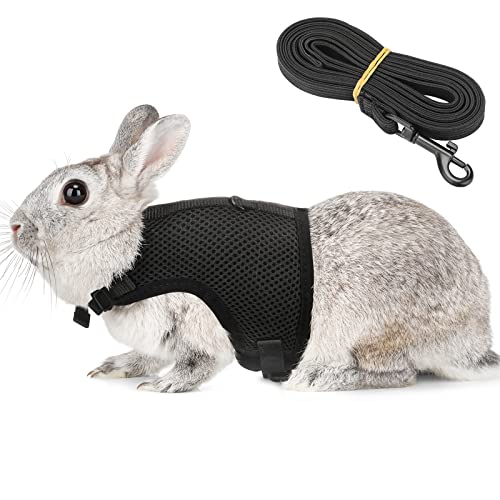 PETTOM Bunny Rabbit Harness with Stretchy Leash Cute Adjustable Buckle Breathable Mesh Vest for Kitten Small Pets Walking (Black,XS) - color: Black, size: XS(Chest:7.87-10.6 in)