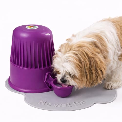 Pet Water Dispenser for Dogs and Cats, 67.6 oz – Gravity-Fed Water Bowl for Clean Drinking, Prevents Wet Fur, BPA-Free Polypropylene, (Opaque Purple) - color: Opaque Purple