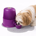 Pet Water Dispenser for Dogs and Cats, 67.6 oz – Gravity-Fed Water Bowl for Clean Drinking, Prevents Wet Fur, BPA-Free Polypropylene, (Opaque Purple) - color: Opaque Purple
