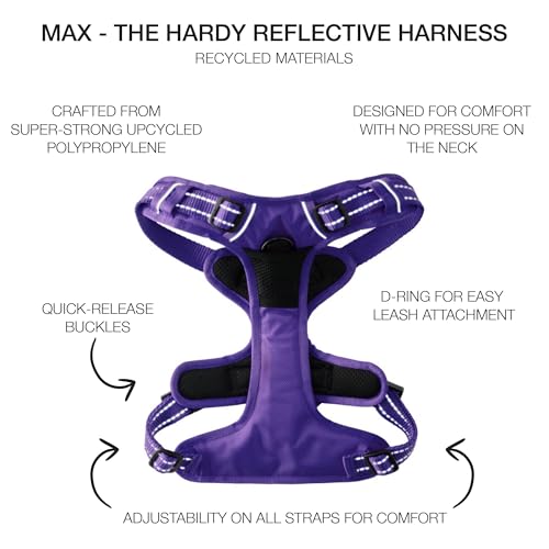 Pet Passion MAX - THE Hardy Reflective Harness, Purple, X-Small - color: PURPLE, size: X-Small (5-12 lbs)