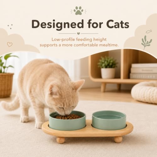 Havniva Raised Cat Bowl 5.1” Elevated Ceramic Cat Food and Water Bowl Set | Cat Bowls Elevated, Whisker Friendly Cat Bowl, Non-Slip Wood Stand, Food-Grade Ceramic, Wide Opening, Dishwasher Safe - color: Light Green, size: 5.1inch - 2 Bowls+Stand