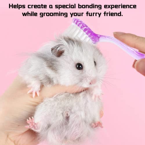 3 Pack Small Animal Grooming Brush - Hair Brush with Lid Soft Cleansing Bristles for Hamster Guinea Pig Rabbit Chinchilla Ferret Massage Combs Cleaning Supplies (3 Pack, White+Purple+Blue)