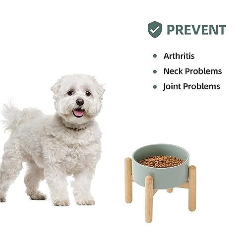 Havniva Elevated Dog Bowls Ceramic Dog Bowls with Stand, Dog Food Bowl | 6.1” Raised Dog Bowls with Non-Slip Wood Stand, Dog Food and Water Bowl Set, Dog Feeding Bowls for Small & Medium Dogs - color: Bowl+Stand - Light Green, size: 6.1inch