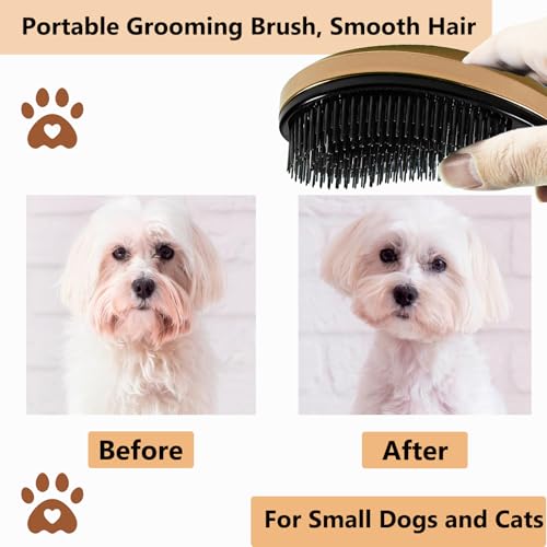 Puppy Brush, Soft Dog Brush for Grooming, Puppy Hair Remover Brush Comb, Grooming Tool for Poodles,Teddy, Yorkies, Maltese, Shih Tzu, Chihuahua, Gold - color: Gold