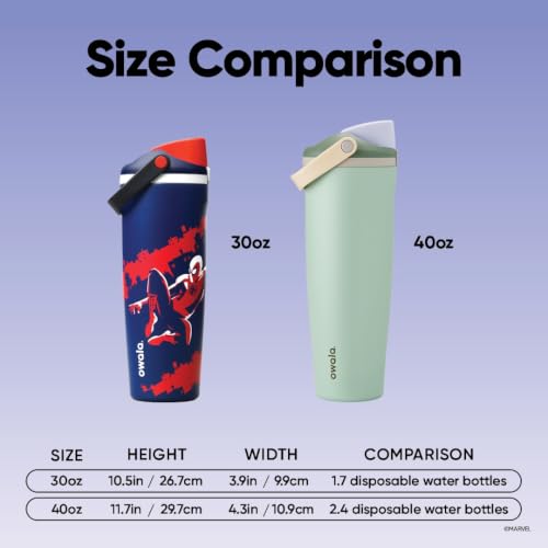 Owala FreeSip Sway Stainless Steel Water Bottle 30 oz Swing of Things - color: Swing of Things