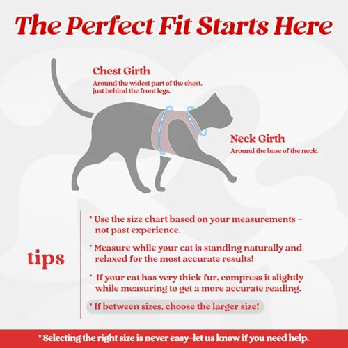 rabbitgoo Cat Harness and Leash Set, Step-in Soft Vest, Red | Escape Proof, Lightweight, Easy-on & Adjustable, Hook & Loop with Buckle, Reflective, for Kittens & Small Cats Walks, S - color: Red, size: S