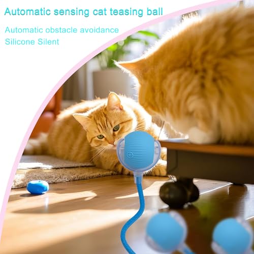 Interactive Cat Dog Toy Ball with LED Light, Automatic Rolling(Blue) | String Tail and LED Light Design, Motion Activated, Suitable for Interactive Indoor Pet Play and Exercise - color: Blue