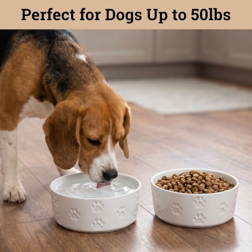 Ceramic Dog Bowl Set of 2 w/ Anti-Skid Base 6.5"W x 2.5"H, 3.8 Cup Capacity | Thick Ceramic, Dishwasher Safe, Anti-Skid Rubber Base, 3.8 Cups per Bowl, Ceramic Food & Water Bowls Set of 2 for Medium Dogs - color: White, size: Medium
