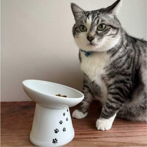 Necoichi Ceramic Elevated Cat Food Bowl, 15° Tilted (Cat, Extra Wide Tilted) - color: Cat, size: Large Extra Wide Tilted