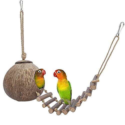 Niteangel Natural Coconut Hamster Hideaway with Ladder, Bird and Small Animal Toy (House with Ladder, Smooth Surface) - color: Smooth Surface