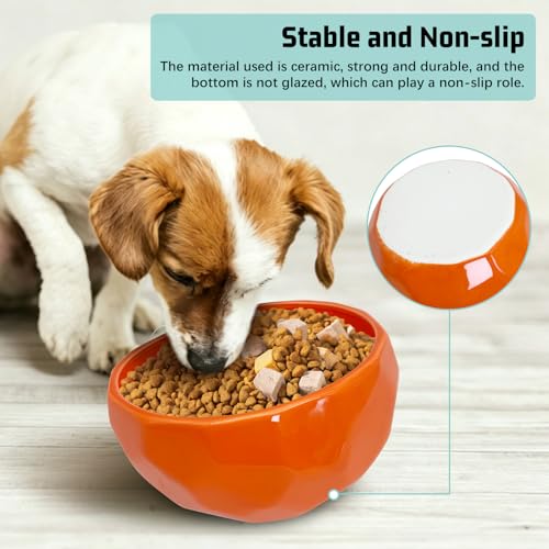 kathson Slanted Ceramic Dog Bowl Tilted 15° Cat Food Water Bowls Dish Animal Pet Comfort Feeding Bowls Heavy Weighted Feeder for Wet or Dry Food (Orange) - color: Orange