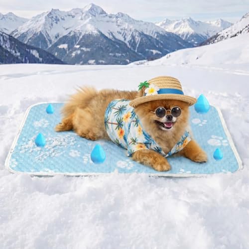 Waterpoof Cooling Mat for Small Dog, Q-Max>0.5 Breathable Cold Crate Pad for Puppy Cat, Washable Kennel Bed for Active Pet with Chill Soothing Fabric to Rapid Cooling, 24×18, Blue - color: Sky Blue, size: 24"×18"