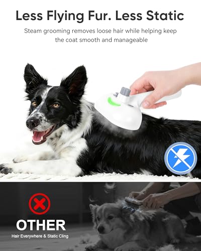 Pet Steam Brush Dog Cat 2026 New Grooming Comb for Shedding, Floating Hair, Smooth & Detangling, Gentle Cool Mist Softens Hair Reduces Static Helps Pets Who Dislike Bathing,2*Waterless Shampoo - color: Gray, size: 240ML