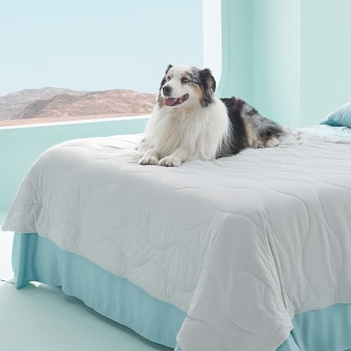 Bedsure ArcticMax™ Q-MAX>0.5 Premium Cooling Blanket for Bed，60x80” | Breathable Summer Washable Throw, Dog Blanket Cooling Mat Pad, Soft Durable Cold Self Cooling Pet Mat for Hot Weather，Grey - color: Pearl Grey, size: Twin(60x80")