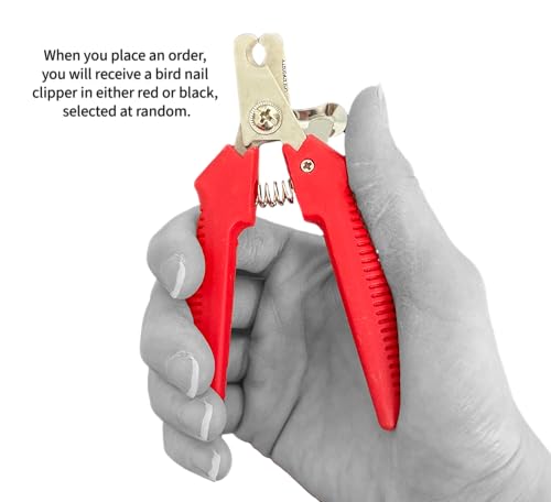Bird Nail Trimmer, Nail Clippers Parakeet for Small Bird Parrot Cockatiel Parrot, Stainless Steel, erogonmic Grip Handle, Large (Red/Black)
