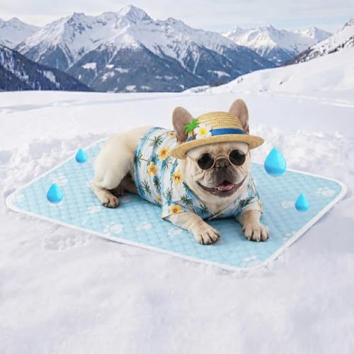 Cooling Mat for Medium Dog, Waterpoof Q-Max>0.5 Breathable Cold Crate Pad for Puppy Cat, Washable Kennel Bed for Active Pet with Chill Soothing Fabric to Rapid Cooling, 27.5×19.6, Blue - color: Sky Blue, size: 27.5"×19.6"