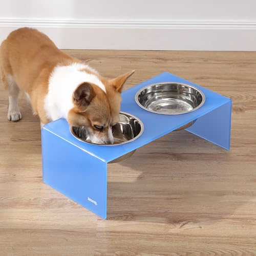 DBL2001C Keaton 7.5" Medium/Large Modern Acrylic Rectangular Elevated Pet Feeder with 54oz 2-Stainless Steel Bowls, Blue/Chrome - color: Blue/Chrome, size: 54 Ounces (7.5" Cups 2-Pack)