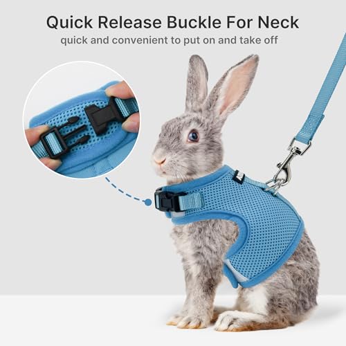 Adjustable Rabbit Harness and Leash Set Escape Proof, Blue M | Padded Vest with Magic Tape Design, Indoor/Outdoor Use (Training, Hiking) - Fits Hamsters, Rats, Iguanas, Puppies, Cats