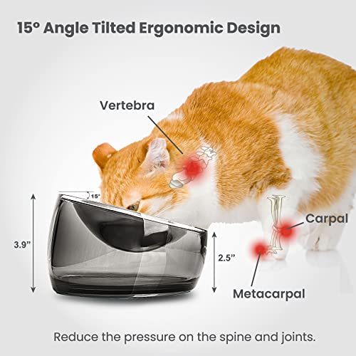 Felli Oblik Elevated Cat Bowl Removable Stainless Steel Wide Dish for Dry Wet Food Feeding & Dishwasher Clean, Slanted Whisker Fatigue Friendly Metal Plate (Smoky, 0.5 Cups Shallow Dish) - color: Smoky, size: 0.5 Cups Shallow Dish