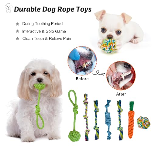 MRSOHRET 20Pcs Puppy Chew Toys for Teething, Dog Chew Toys with Rope Toys, Pet Dog Toothbrush, Treat Balls, Plush Toys and Squeaky Toy for Small Medium Dogs with Basket - color: 20 Pack Koala