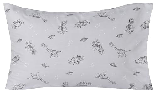 Scientific Sleep Gray Dinosaur Space Walk Universe Travel 100% Cotton 3 Pcs Twin Bed Sheet Set Kids Toddler Teen, Flat Sheet & Fitted Sheet & Pillowcase Kids Bedding Set Twin - color: Gray Dinosaur, size: Twin