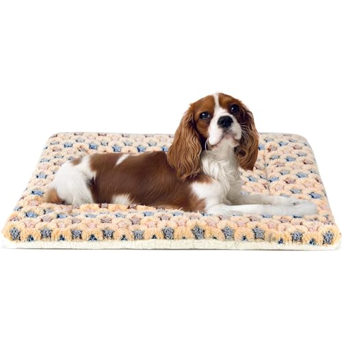 Mora Pets Dog Crate Pad Bed Ultra Soft Pet Mat Star Print Brown 23 x18 Inch | Washable Crate Mat for Small Medium Large Dogs, Reversible Fleece Dog Crate Kennel Mat Flat Cat Bed Liner - color: Brown, size: 24-Inch