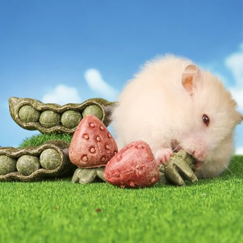 TEEWY 4PCS Guinea Pig Toys, Prevent Teeth Overgrowth, Natural Vegetables and Timothy Grass, Hamster Chew Toys, Guinea Pig Chew Toys, Chinchilla Toys, Peapod and Stawberry Chew Toy Set - style: 4PCS-Peapod and Stawberry