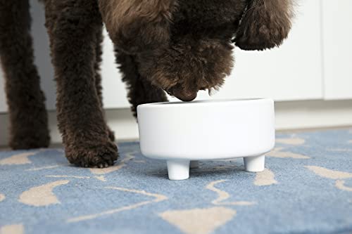 Waggo Uplift Ceramic Dog Bowl for Small Medium and Large Breeds - Heavyweight and Durable Pet Food and Water Dish Crock, Dishwasher Safe, Modern, Elevated Feeder (Small, Black) - color: Black, size: Small