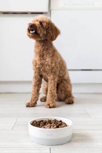 Pearhead Ceramic Bone Appétit Dog Bowl, Small/Medium 2.25 Cups/ 18 oz, Gray - color: Gray Bone Appetit Bowl, size: Small
