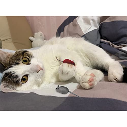 Andiker 3 Pcs Cat Mouse Toy, Flocking Squeaking Mouse Cat Toy 3 Random Colors Soft Small Cat Toys for Indoor Cats Interactive Cat Toy for Cats and Kitten to Catch and Bit (3pcs)
