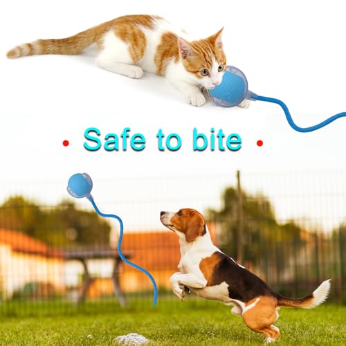 Interactive Cat Dog Toy Ball with LED Light, Automatic Rolling(Blue) | String Tail and LED Light Design, Motion Activated, Suitable for Interactive Indoor Pet Play and Exercise - color: Blue