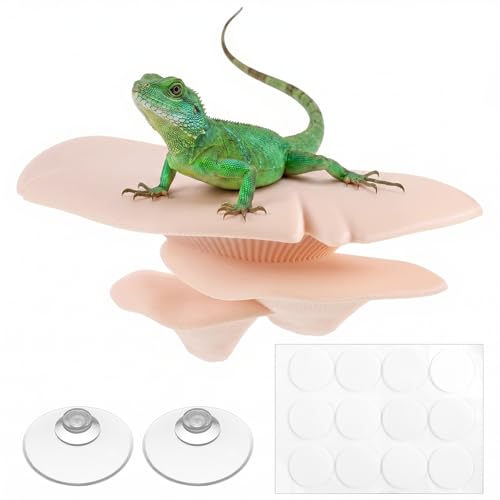 Mushroom Decor Climbing Hold Reptile Tank Pet-Safe Bearded Dragon | Tank Accessories, Climbing Rest Platform Habitat, Concealed Jumping Spider Habitat, Gecko Lizards Leopard, Turtle Hermit Crab