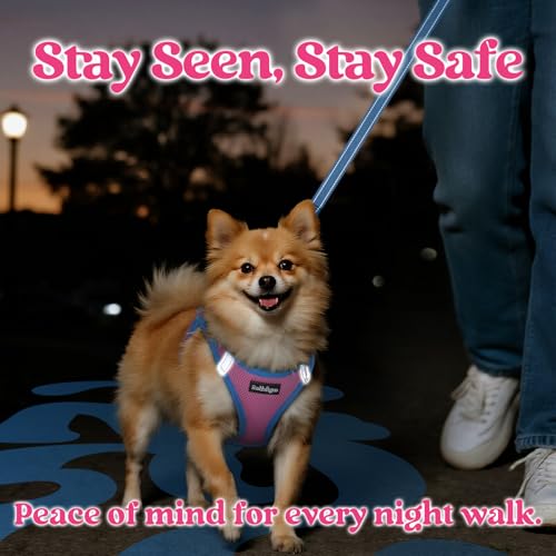 rabbitgoo Dog Harness Small Sized and Leash Set, Step in Soft Vest | Breathable Mesh, Easy Wear with Hook & Loop, Light and Reflective for Walking, Multi-colored, Pink & Blue, XXS - color: Pink & Blue, size: XXS (Chest: 12.4"-14.2")