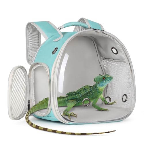 Guinea Pig Backpack Carrier, Bearded Dragon Carrier Backpack with Clear Bubble Window,Small Animal Travel Backpack for Hedgehog Rat，Chameleon,Rabbit,Sugar Glider,Airline Approved (Green, Backpack)