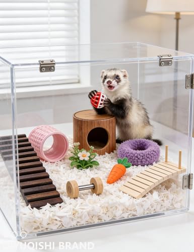 10-Pack Ferret Bell Ball Toys, Non-Toxic PP, Easy Clean | Smooth Polished Edges, Water-Resistant, Safe for Ferret Mouths/Paws - size: 1.5'' - 2.2''